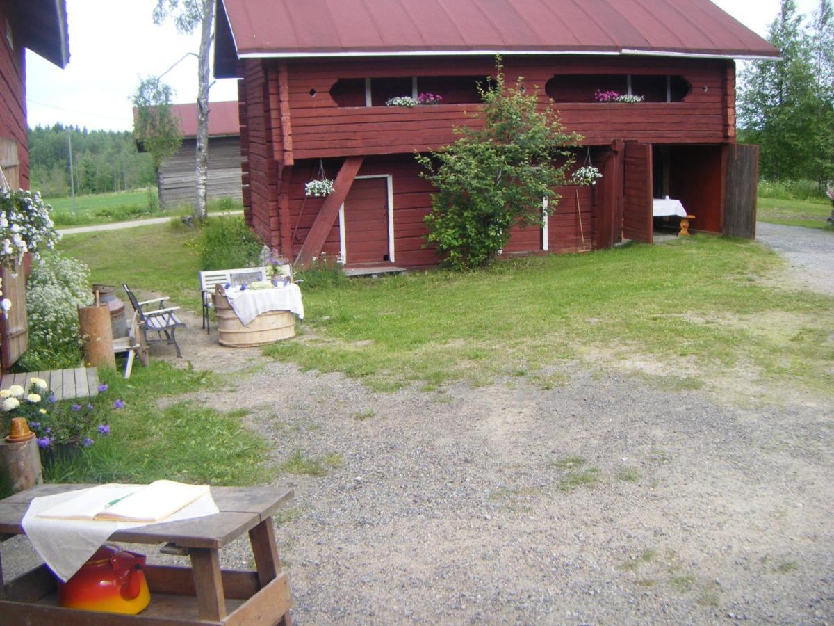 Lemettilae Countryside Accommodation Petäjävesi Zewnętrze zdjęcie