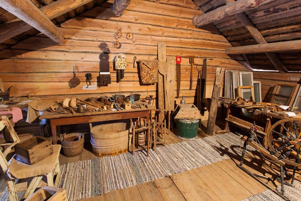 Lemettilae Countryside Accommodation Petäjävesi Zewnętrze zdjęcie