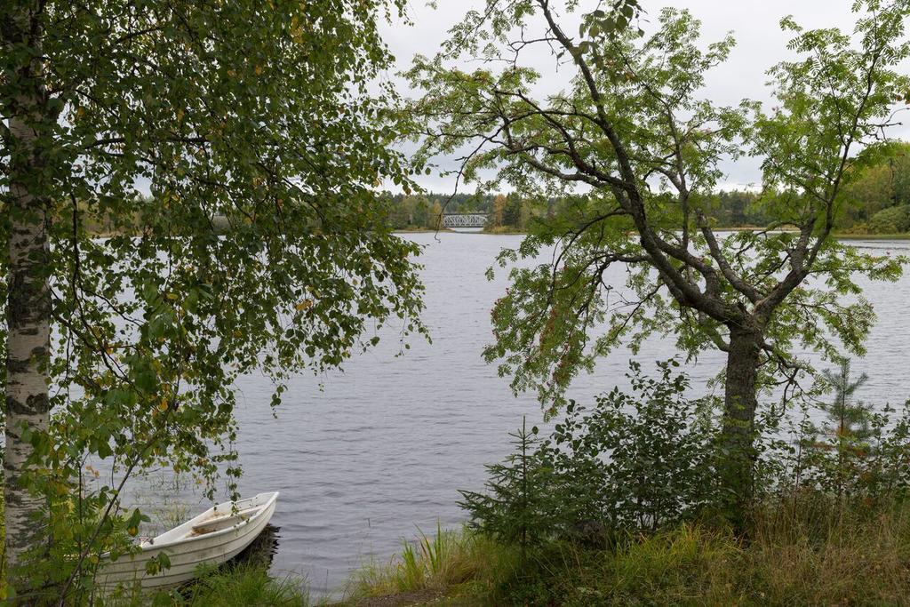 Lemettilae Countryside Accommodation Petäjävesi Zewnętrze zdjęcie